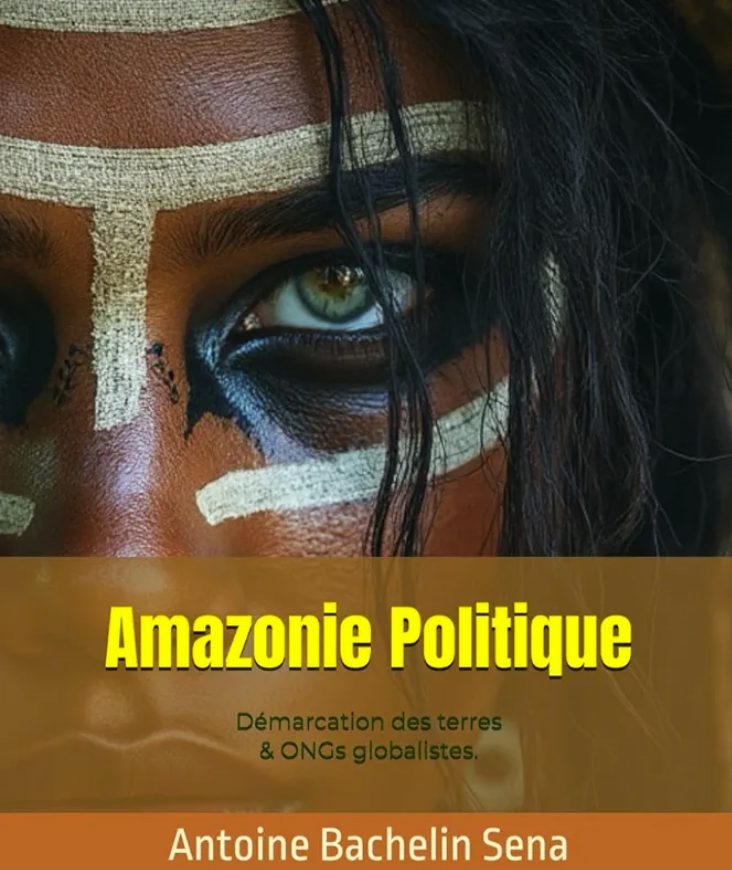 Amazonie Politique