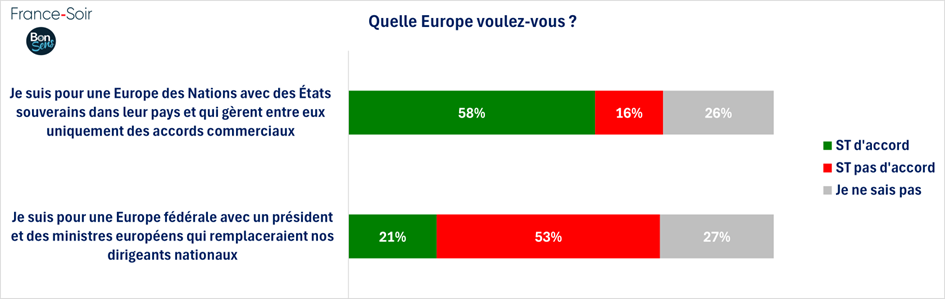 Sondage en France janvier 2025