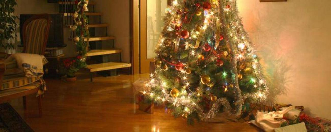Pourquoi décore-t-on un sapin à Noël? | FranceSoir