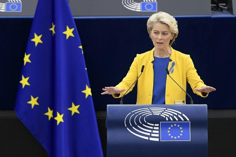 Von Der Leyen à Kiev Pour Parler Intégration à L'UE | FranceSoir