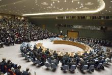 Le Conseil de sécurité de l'ONU, le 10 janvier 2017 à New York