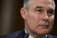 Scott Pruitt, le 18 janvier 2017 à Washington