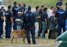 Des demandeurs d'asile, le 25 juin 2015 dans la ville hongroise de Röszke, à la frontière avec la Se