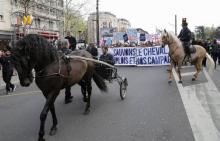 Les professionnels des courses hippiques mobilisés à Paris contre un projet de la Française des jeux