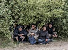 Des migrants s'abritent de la pluie dans une forêt, le 12 mai 2017 à Grande-Synthe