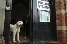 Un chien devant un bureau de vote de Howden, au nord-est de l'Angleterre, le 8 juin 2017