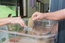 Dans un bureau de vote de Nouméa lors du second tour de la présidentielle, le 7 mai 2017