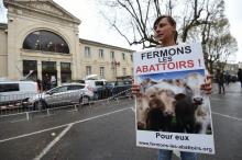 Une militante de L214 à Alès, en France, le 23 mars 2017