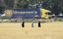 Des migrants marchent dans un champ en direction du port de Calais, le 28 juillet 2017 à Calais