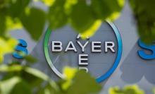 Le logo de Bayer.