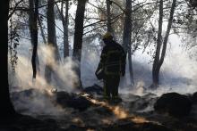 Un pompier après un incendie à Pietracorbara en Haute-Corse, le 12 août 2017