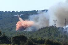 Un incendie "très virulent" a été circonscrit jeudi soir après avoir parcouru quelque 80 hectares de