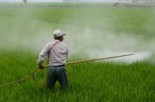 Fermier qui répend des pesticides dans son champ