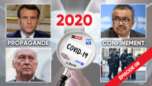 2020 : Pandémie de propagande, de peur et de confinements (épisode 8)