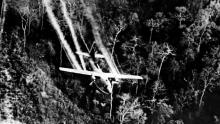 Epandage d'"agent orange" pendant la guerre du Vietnam par les forces armées US