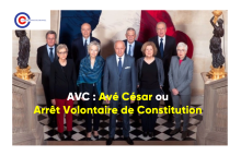 Conseil Constitutionnel