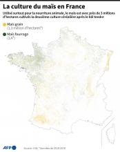 Carte montrant où sont cultivés le maïs grain et le maïs fourrage en France